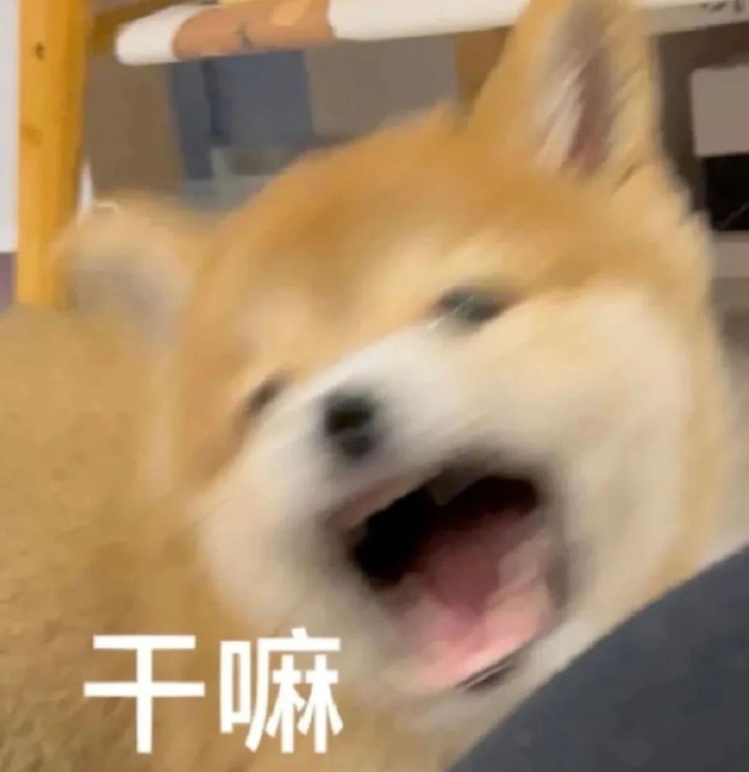 谁的眼睛里有星星