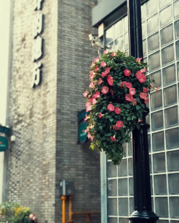 晚餐•2019年5月26日