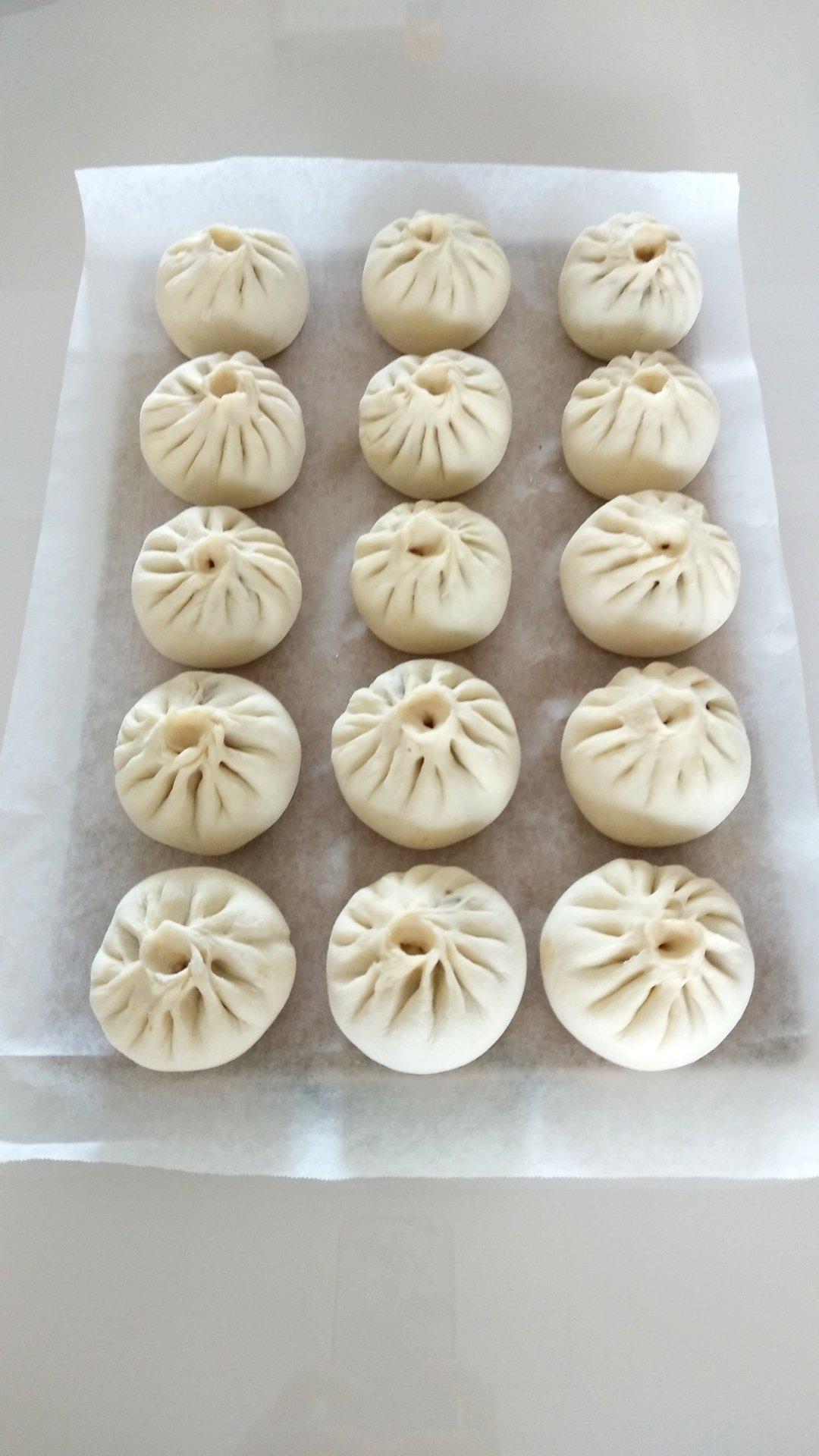 堂妈教你山菜鲜肉大包子