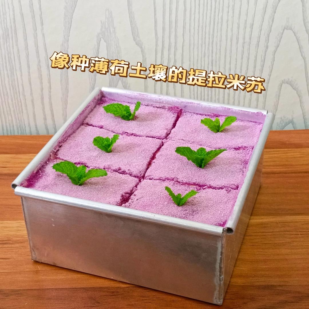 【芋泥提拉米苏】不用烤箱就能做，芋泥脑袋狂喜！