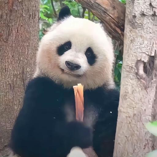 抖音美食课代表的厨房