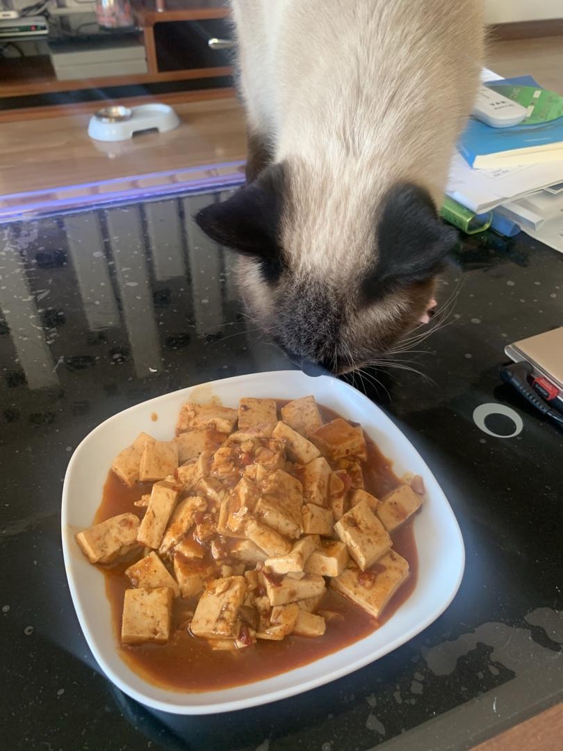 麻辣豆腐