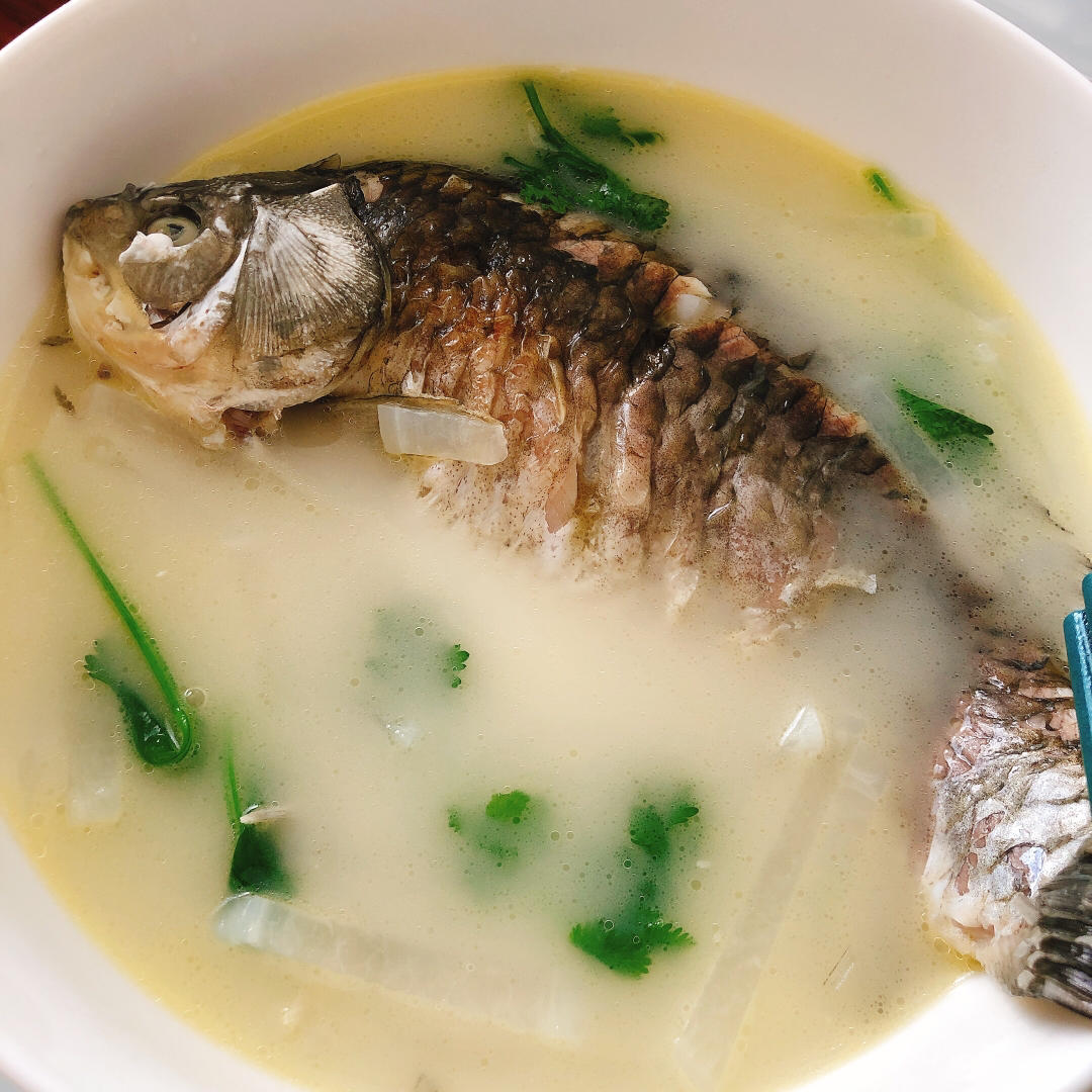 arielimac做过鲫鱼汤#午餐612020年10月24日#用橄