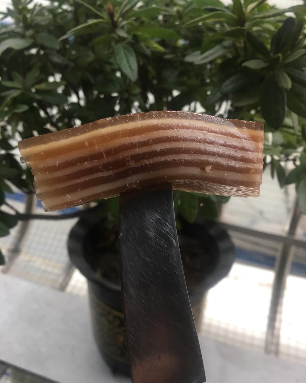 椰汁千层糕(不出水好操作)