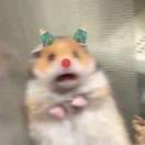 我莫得感情_xb6g