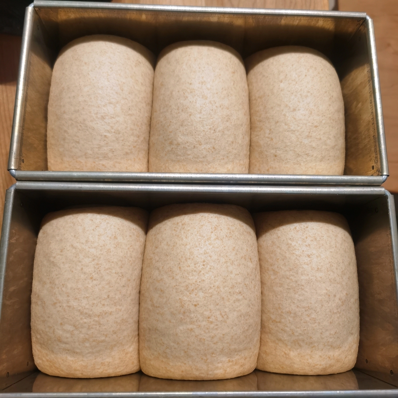 酸奶黑麦吐司 70%黑麦直接法 日本猫吐司模通用450g土司盒配方