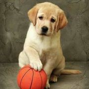 被发现了赶紧改名字