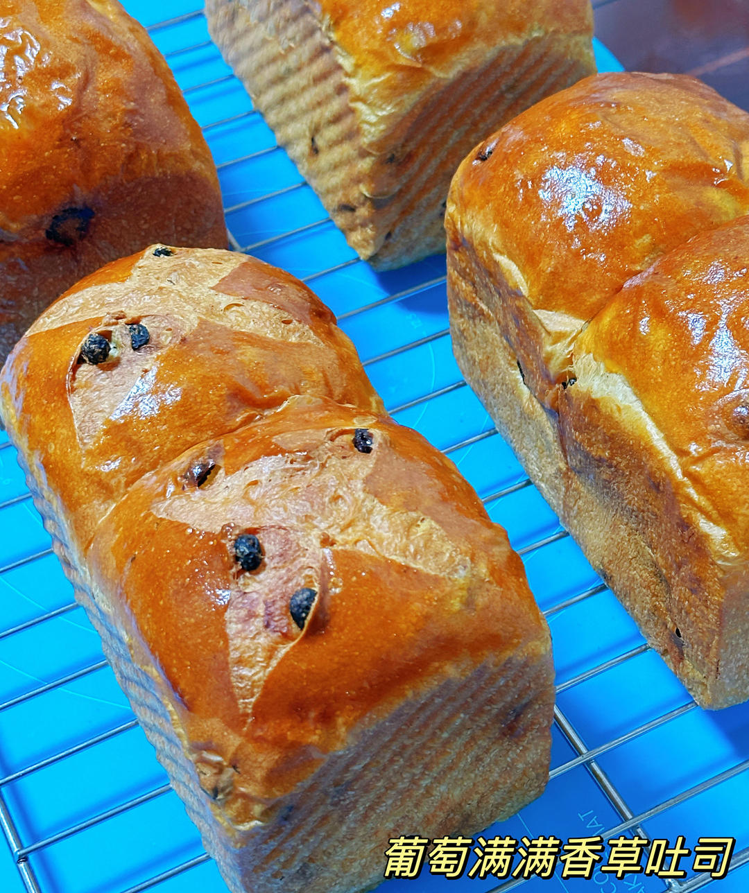 葡萄满满香草吐司（分割400g一个/3个量）