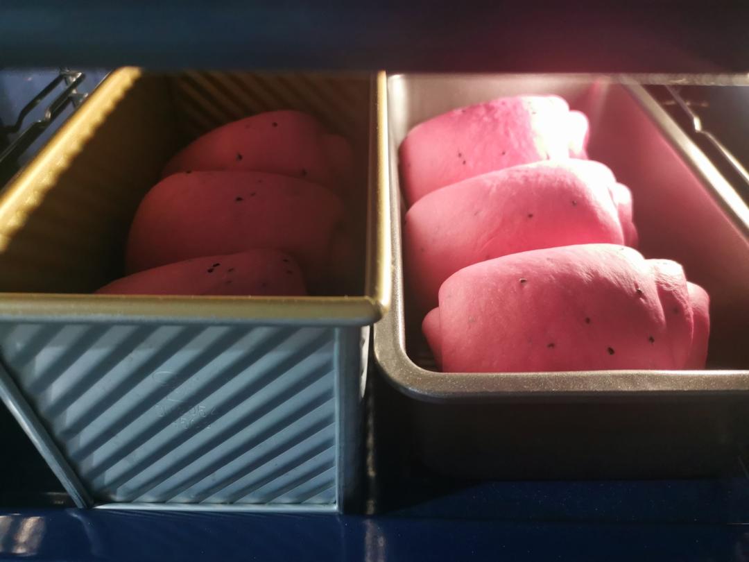 一发不可收拾👍的火龙果🌈软吐司🍞