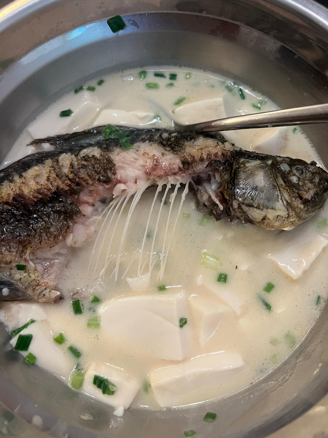 奶白鲫鱼豆腐汤|一条鱼最后的温柔