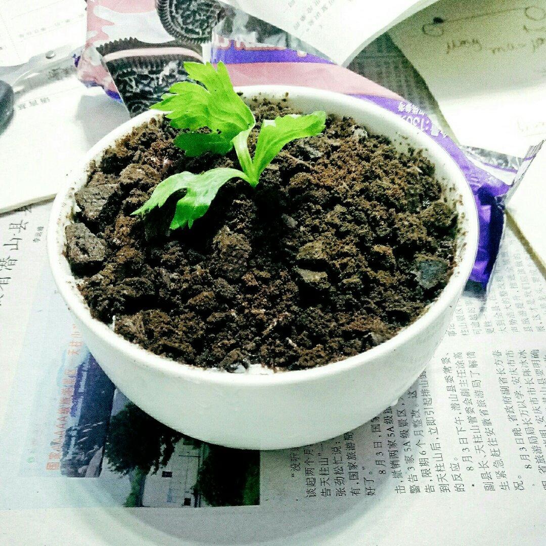 酸奶奥利奥水果盆栽