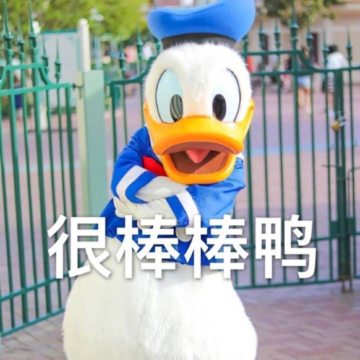 找不着北的小厨娘