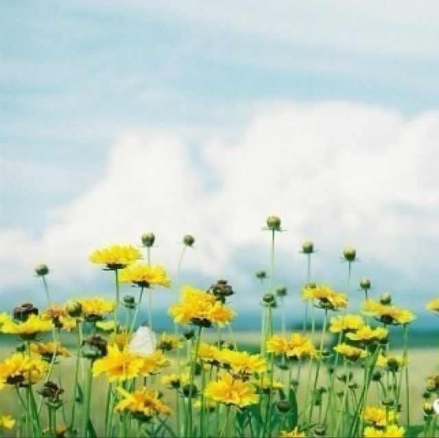 手机用户7379_1rve