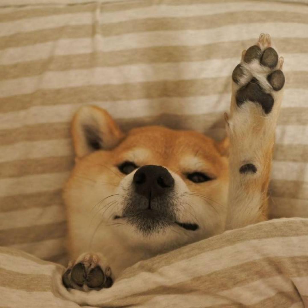兰溪花谷