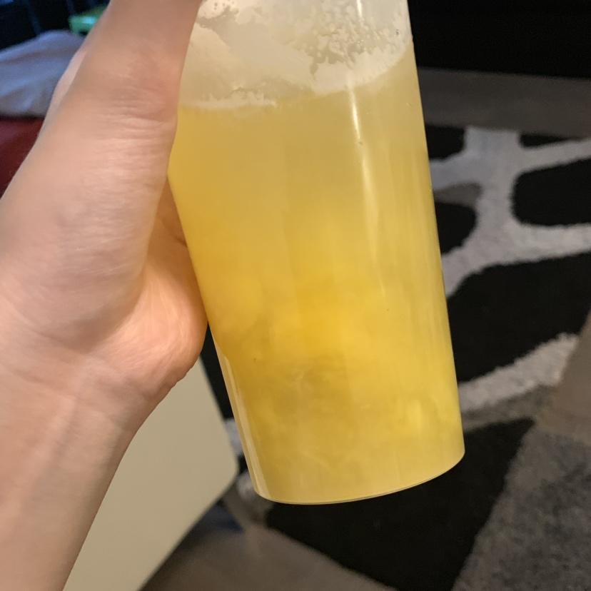 超好喝的水果茶！！！【鲜杏乌龙茶】