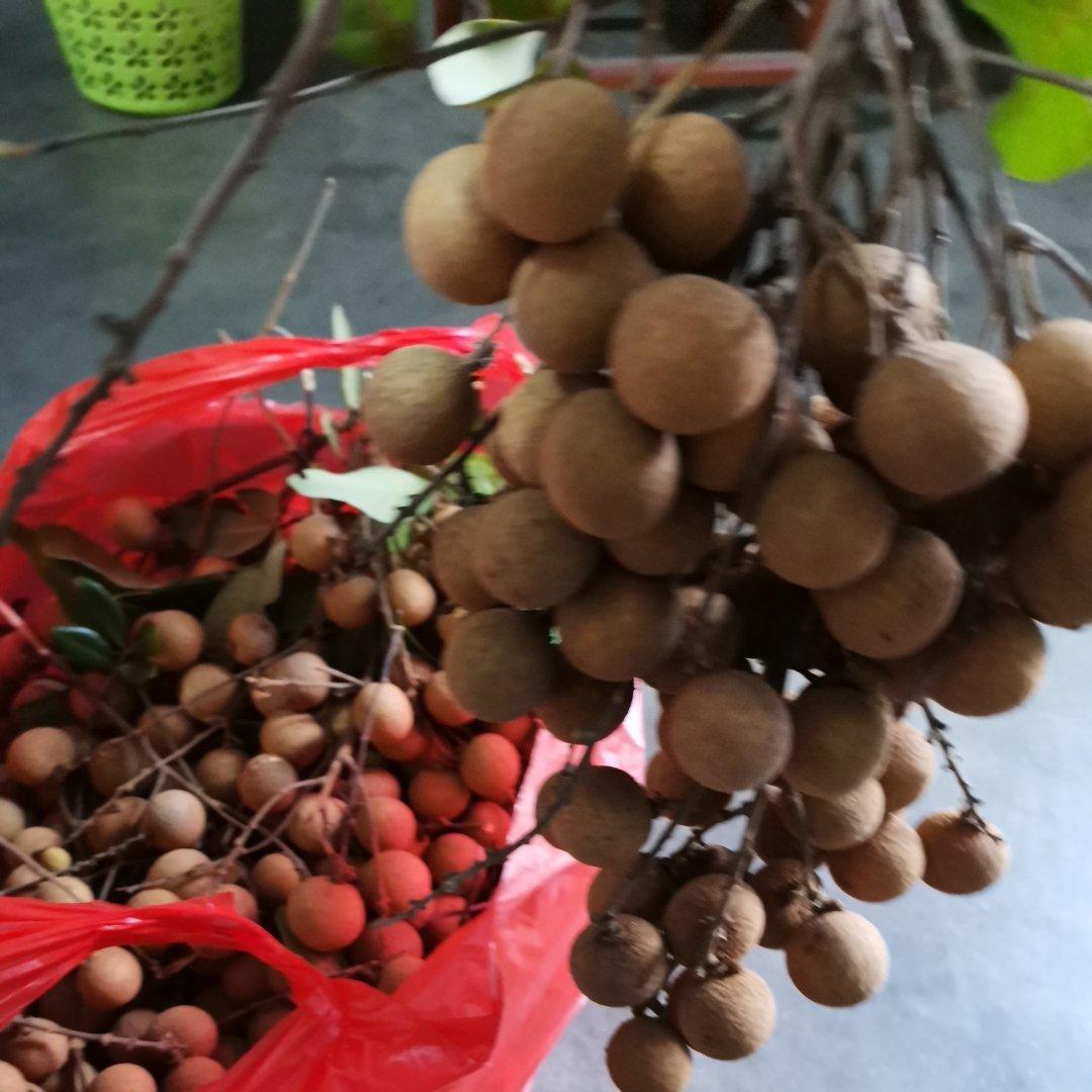 韭菜花炒鸡蛋