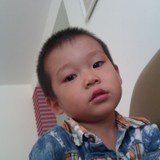 sgdandxbb