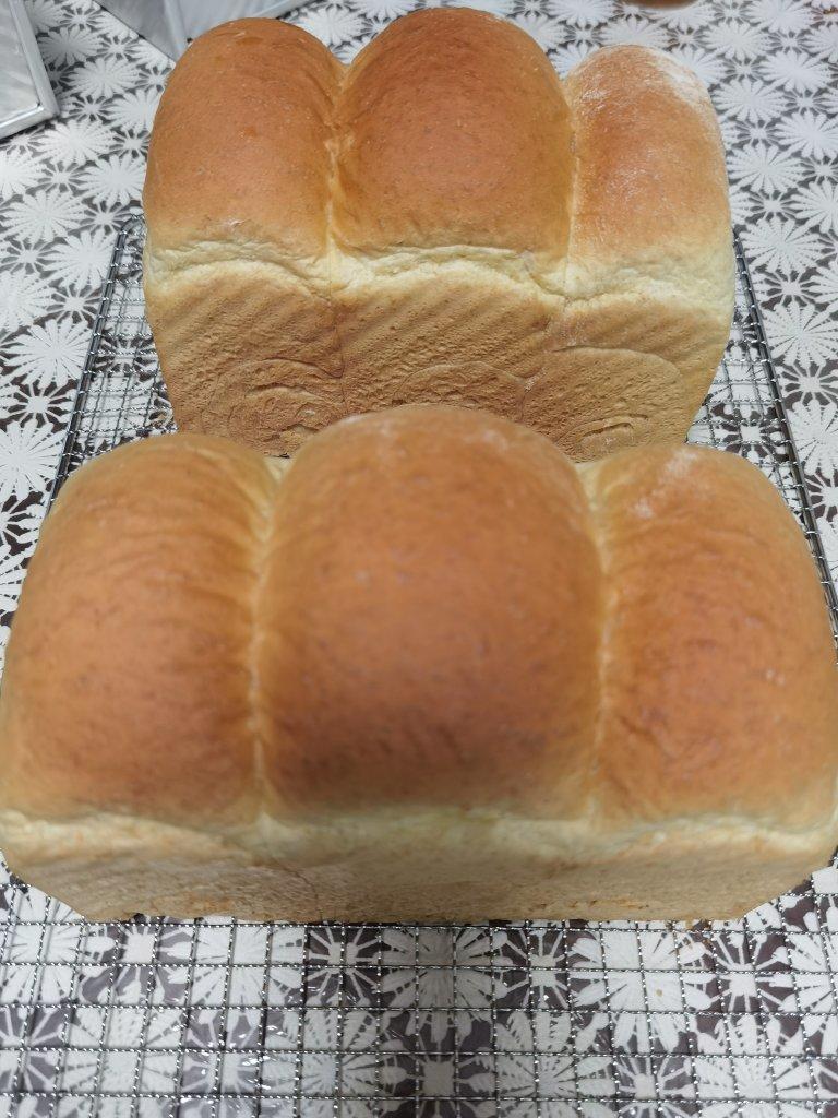 全麦吐司（70%冷藏中种法）