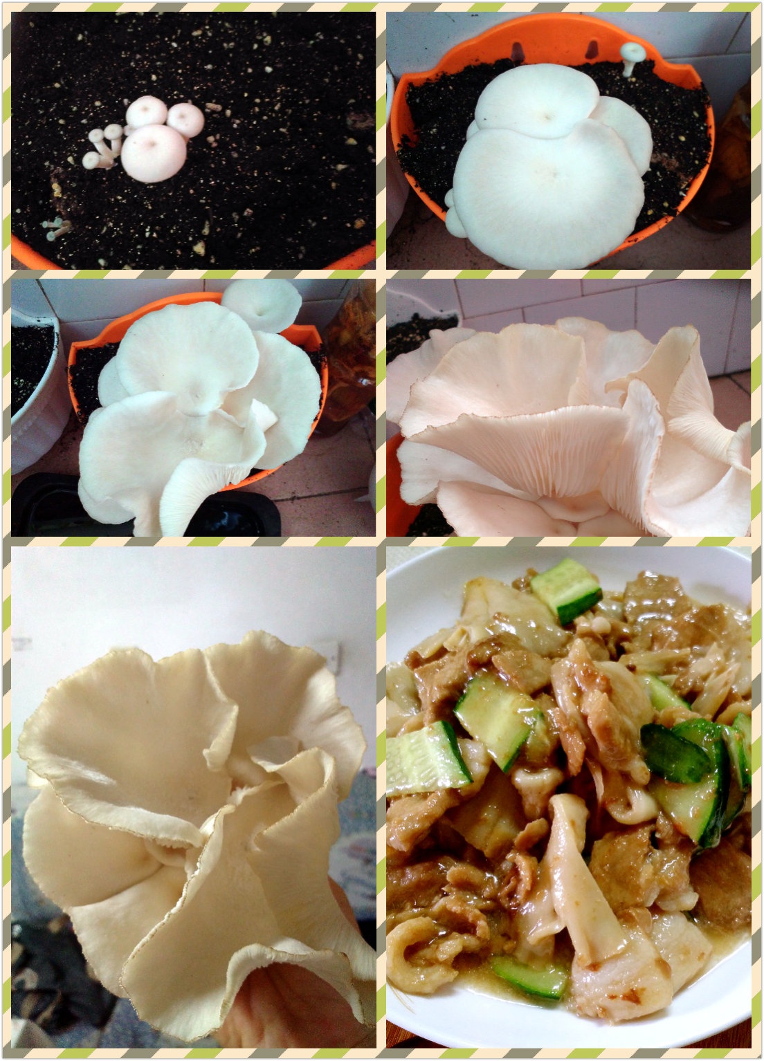 锅碗瓢盆交响曲