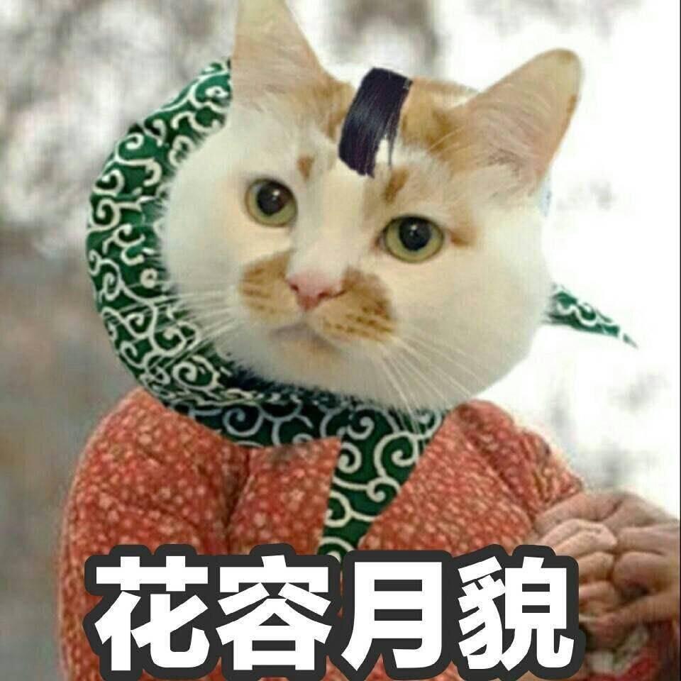 老油油