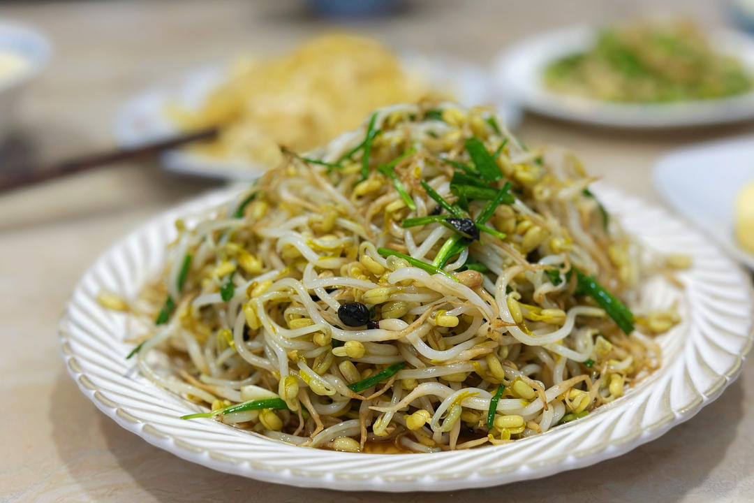 零难度的自发绿豆芽
