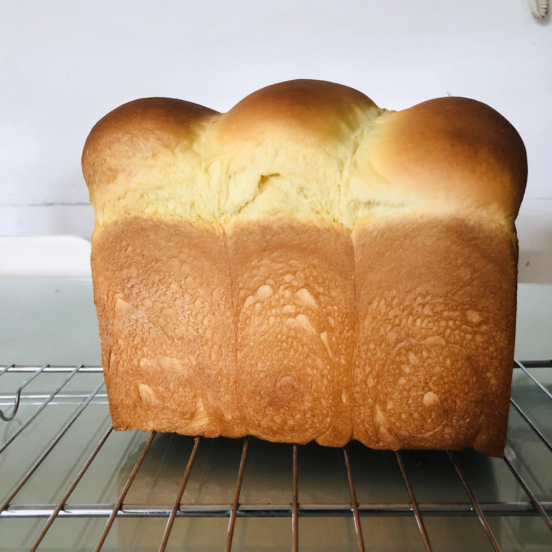 北海道巨蛋吐司