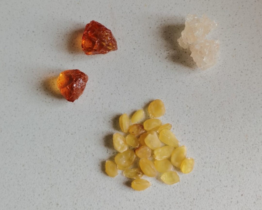 桃胶雪燕皂角米枸杞红枣甜品的做法 步骤2
