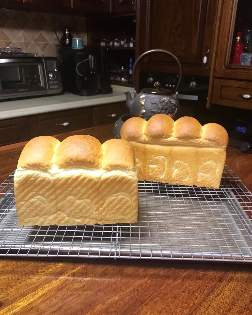 中种奶酪白吐司~ GOURMETmaxx揉大面团记录