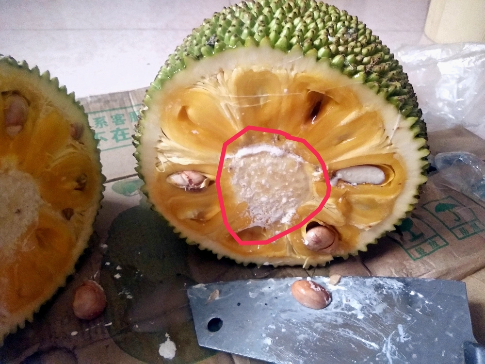 💯详细的菠萝蜜开法+吃法（适合新手）❗️❗️的做法 步骤11