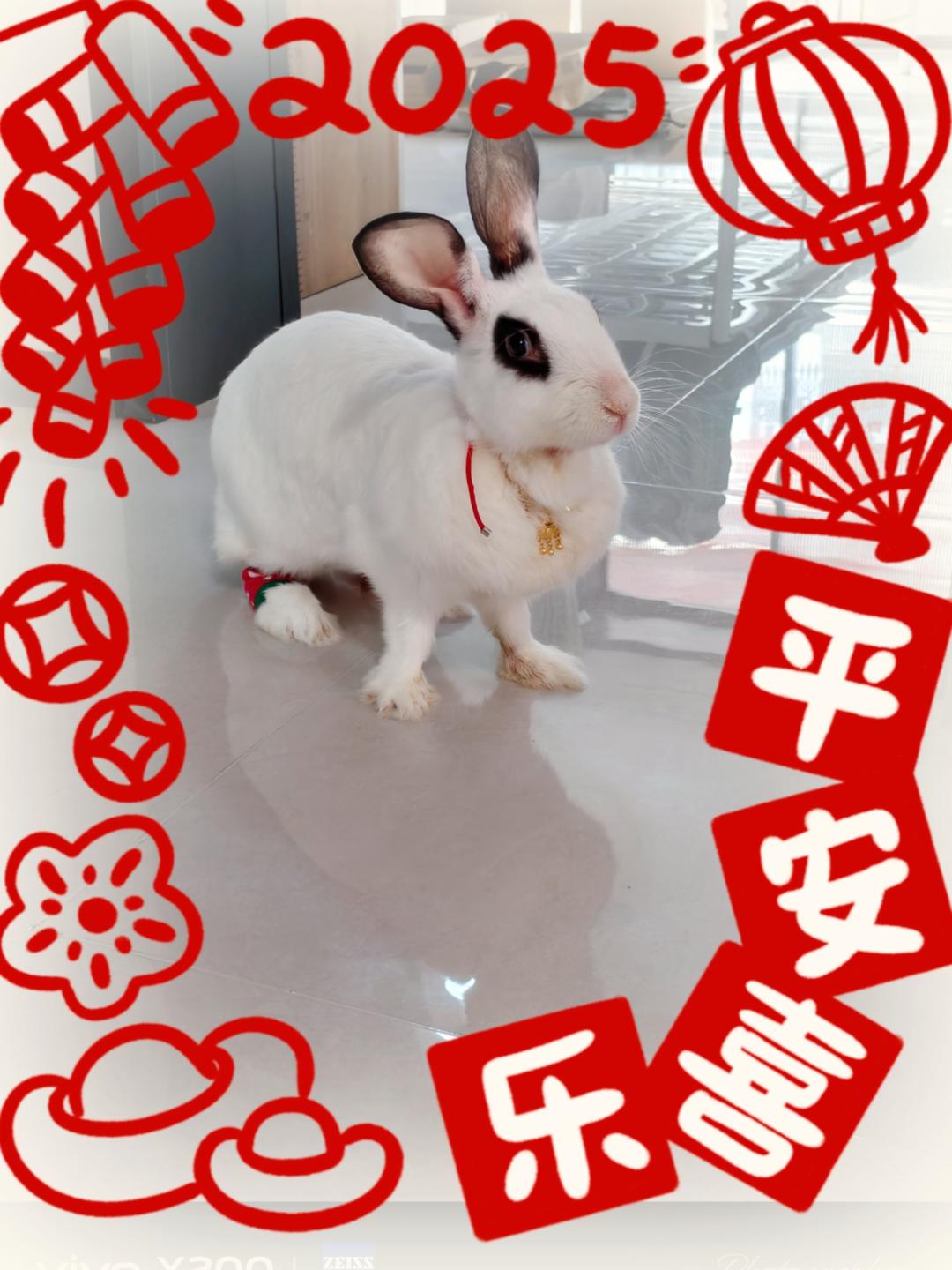 橙哥的厨房