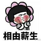 手机用户3873_8ksg