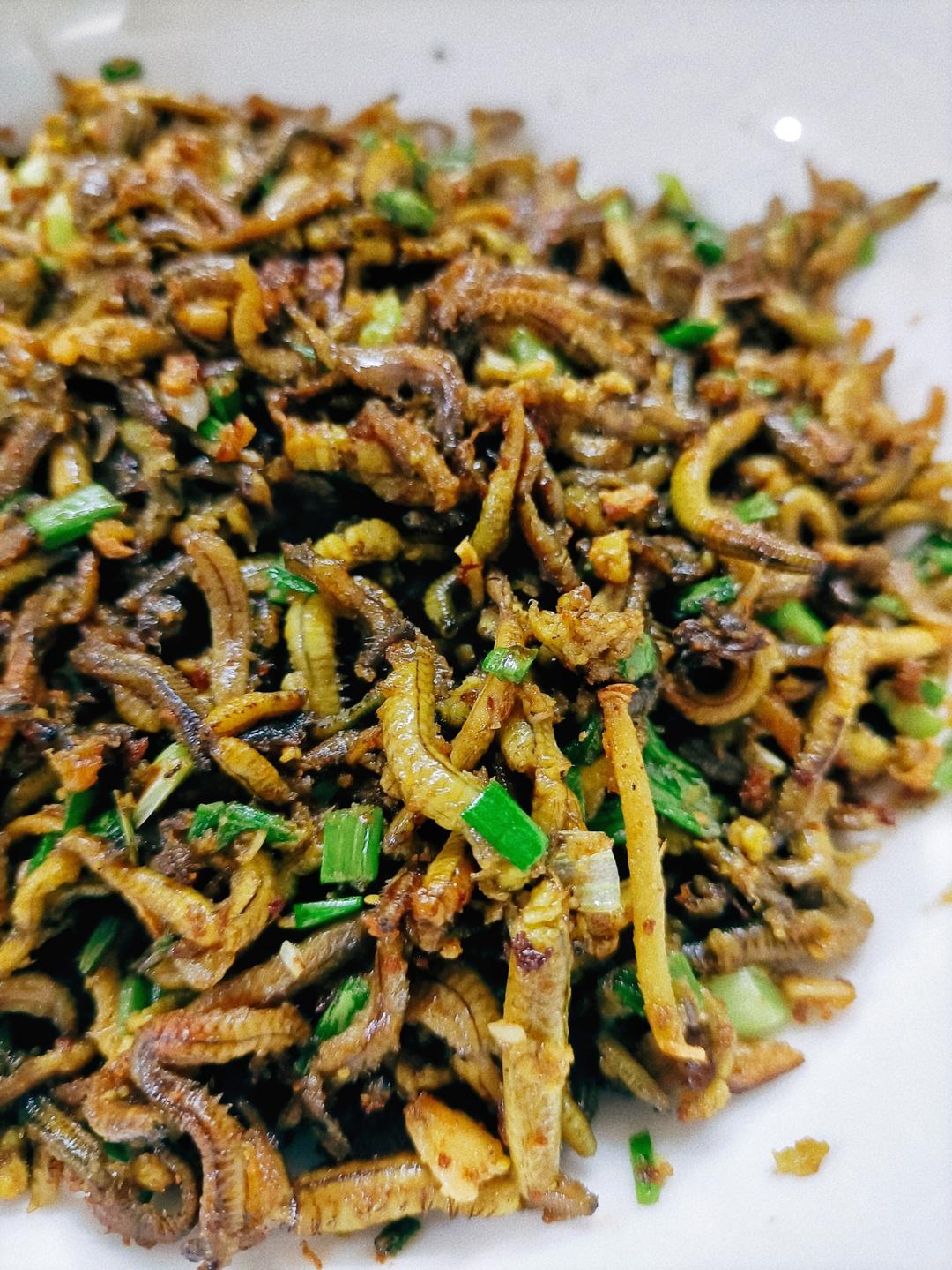 广东特色美食~炒禾虫
