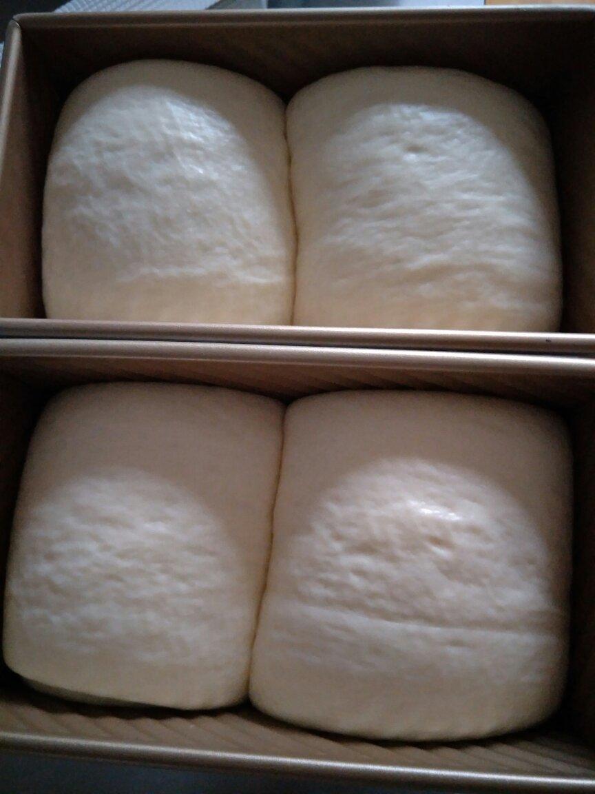 超柔牛奶棉花吐司（最详细的吐司食谱）