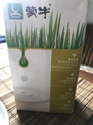 牛奶雪耳炖桃胶西米露的做法 步骤3