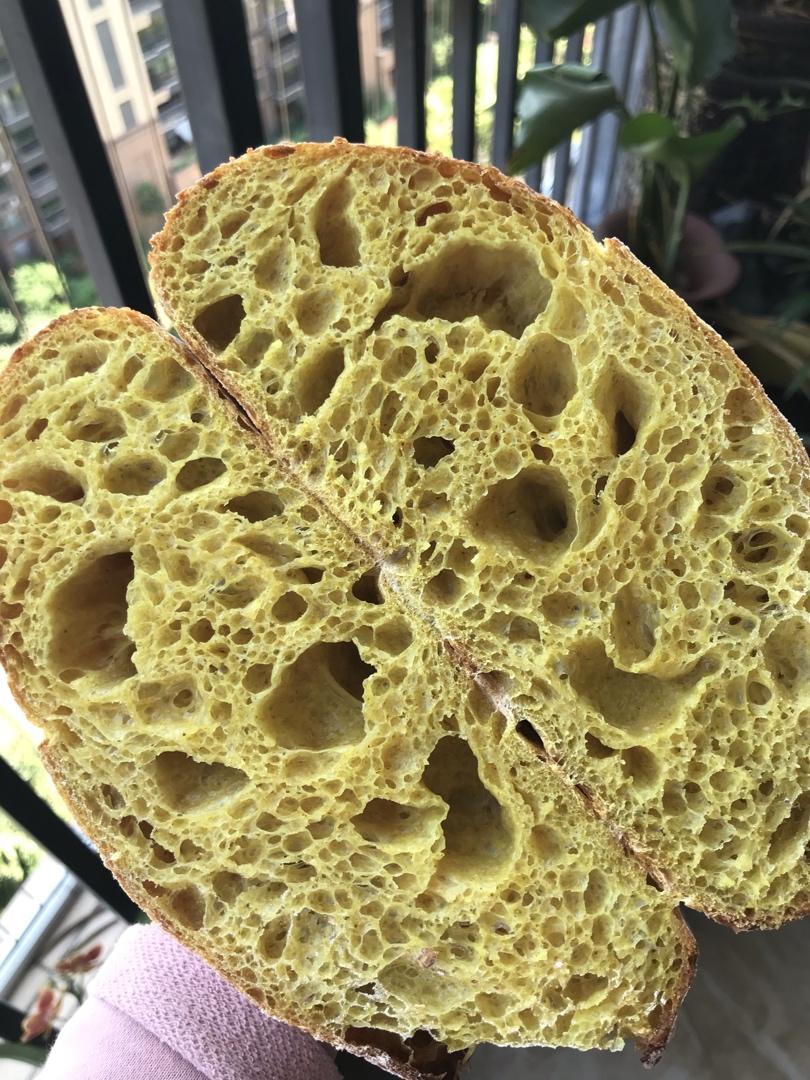 欧包切面组织气孔