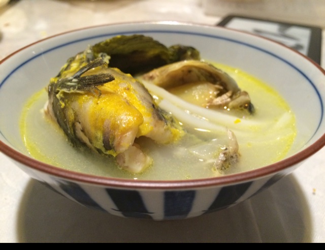 昂刺鱼豆腐汤
