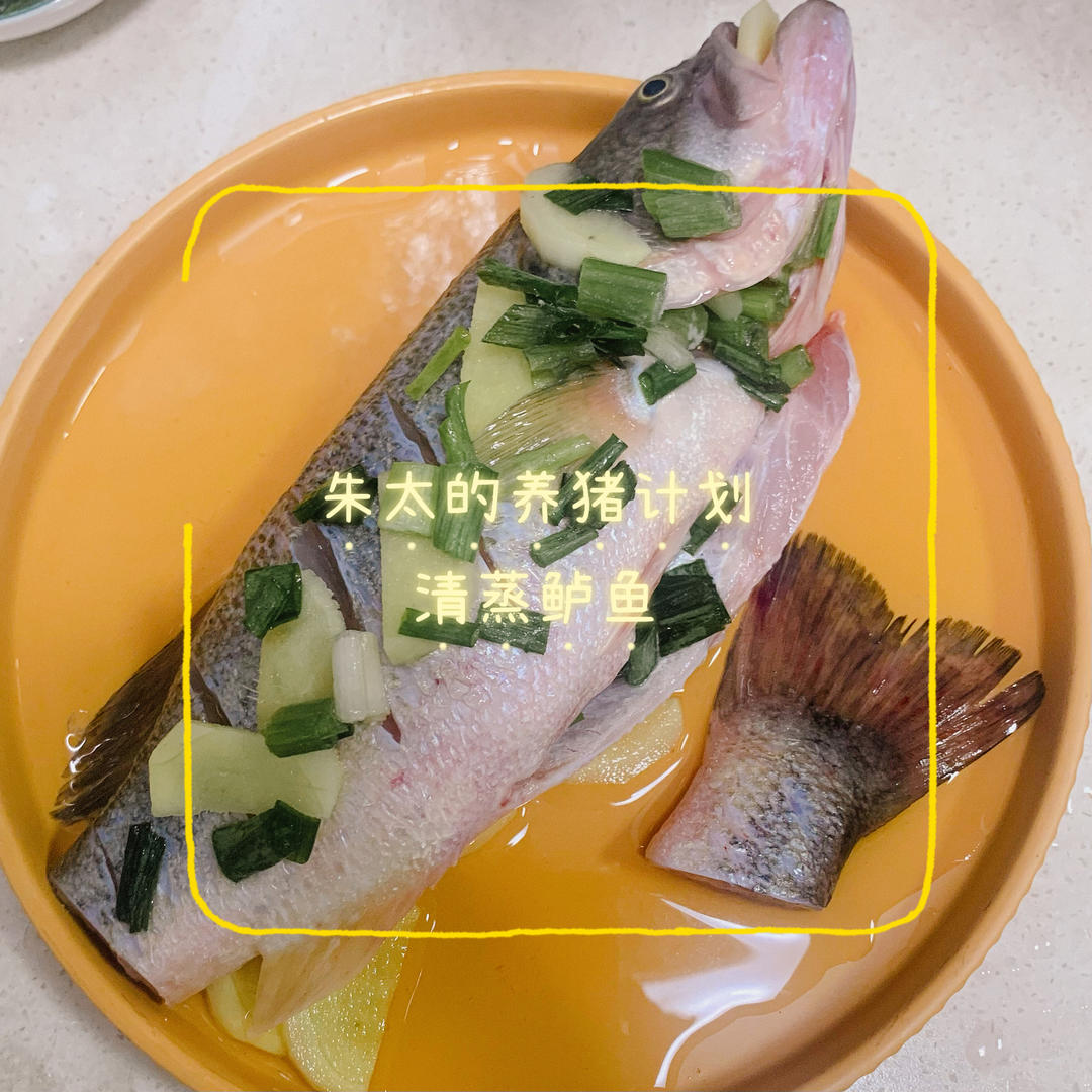清蒸鲈鱼