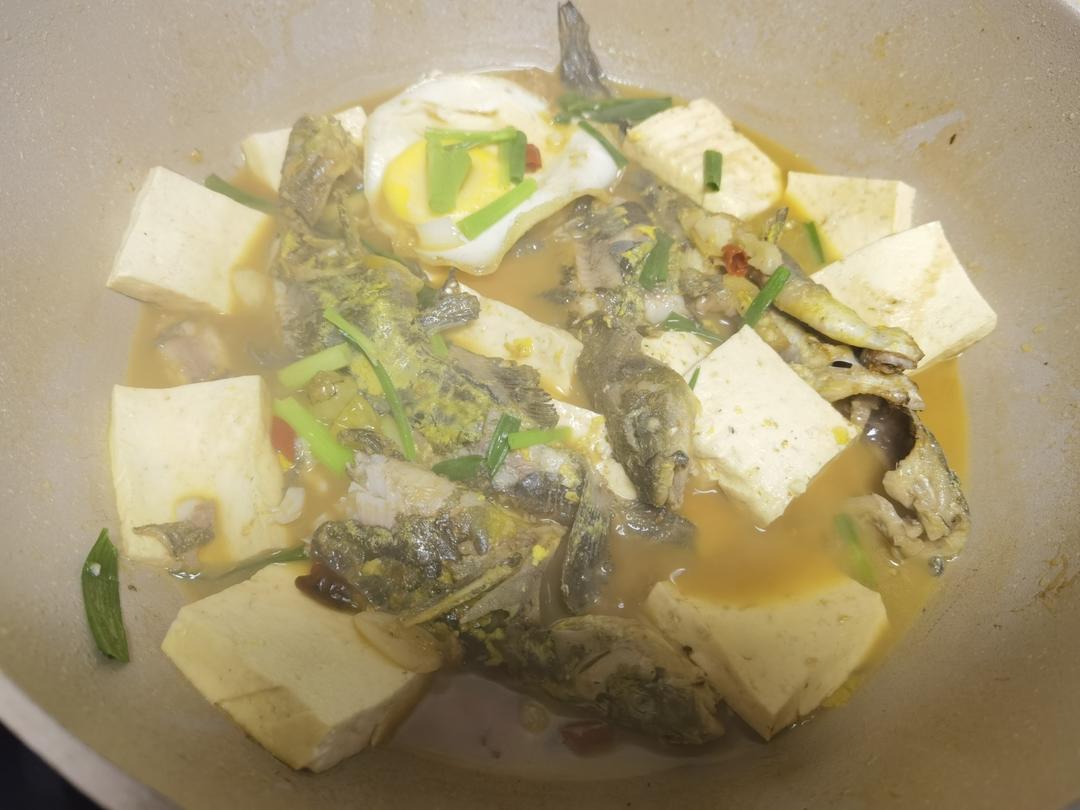 黄丫头烧豆腐（美味又下饭，两碗米饭不够吃😜）