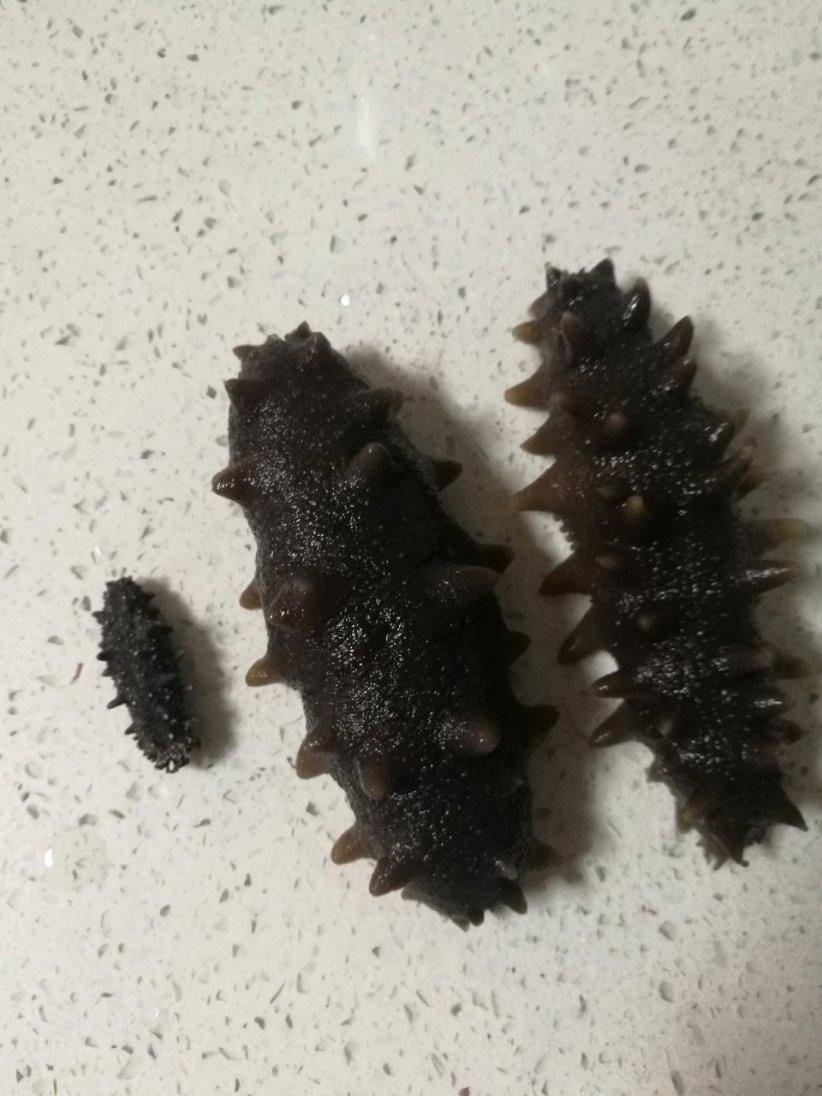 泡发海参的方法