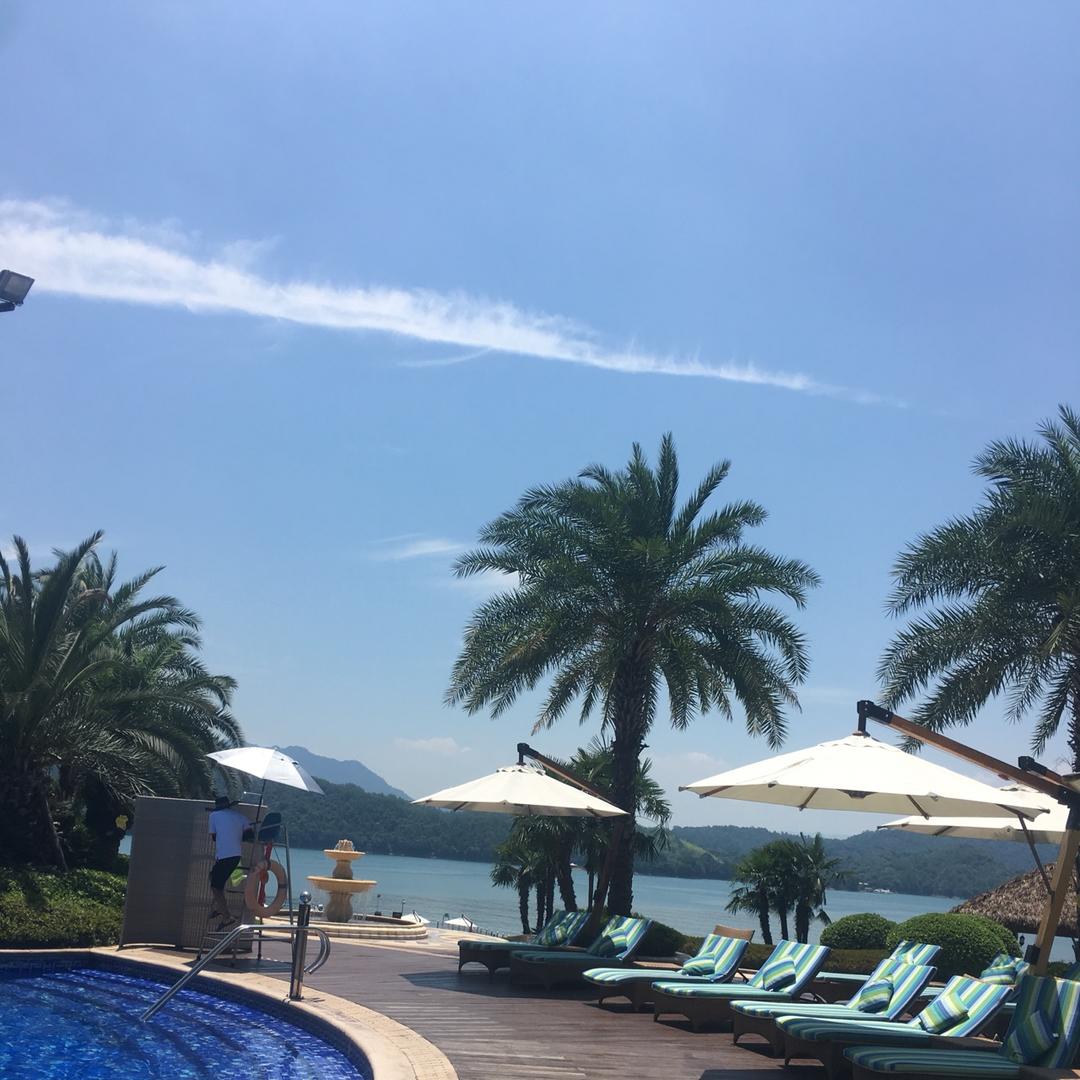 番茄正在炒西红柿