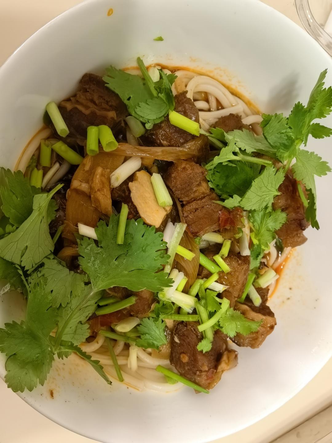 超级无敌好吃的红烧牛肉