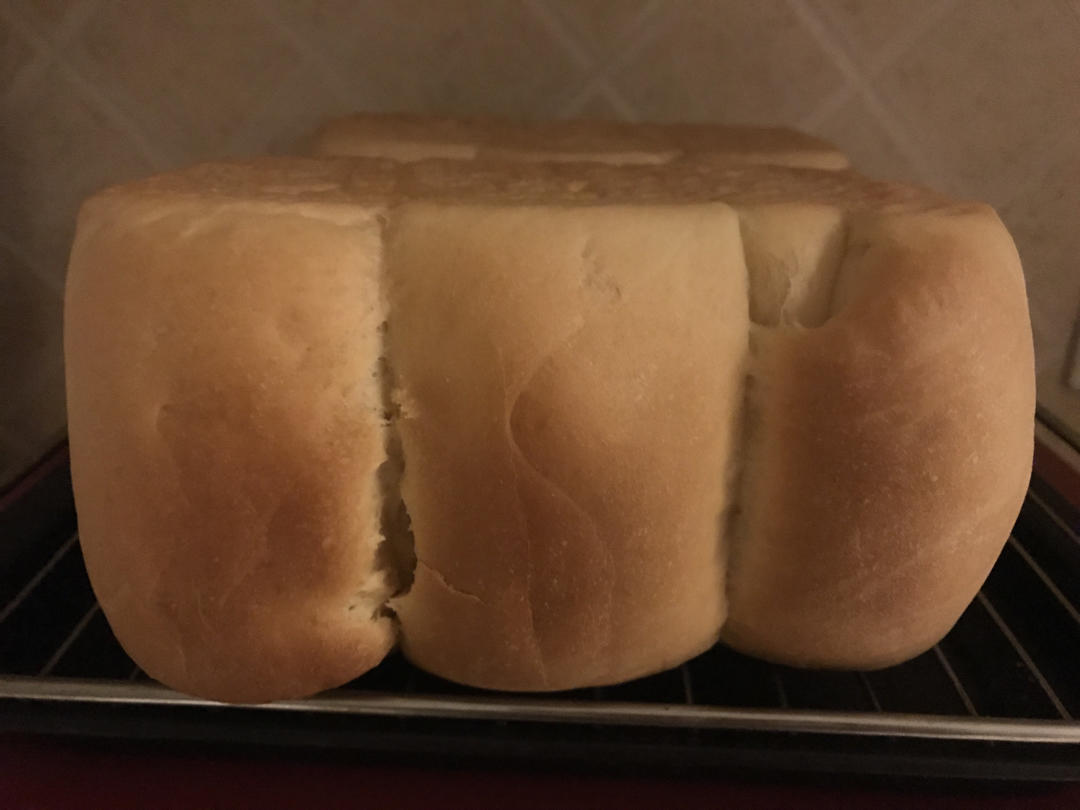 🌟只需一发的软妹子🌟奶香吐司🍞