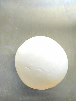 最正宗的原始新疆烤馕与神奇的自然发酵法的做法 步骤5