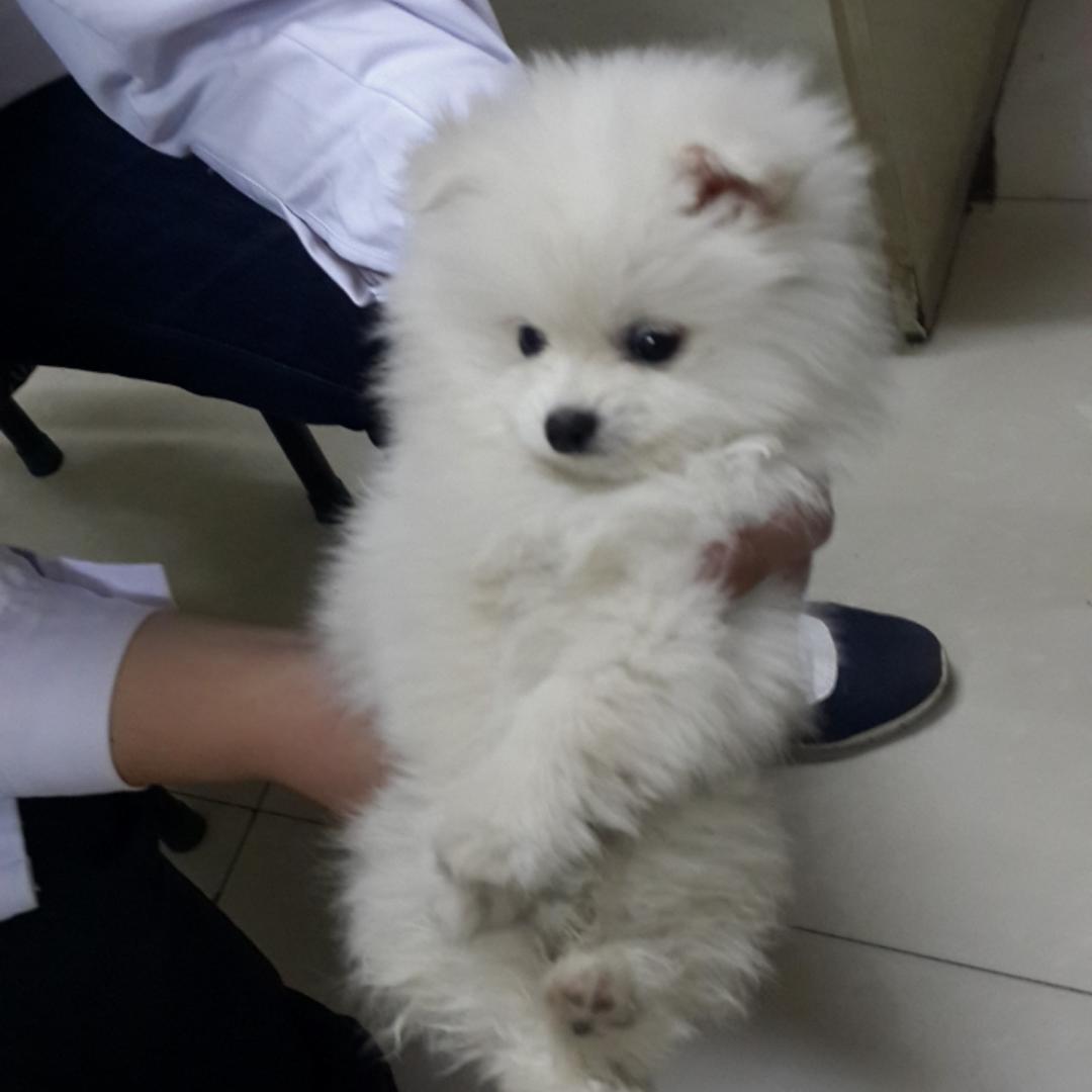 珊珊闪闪发光