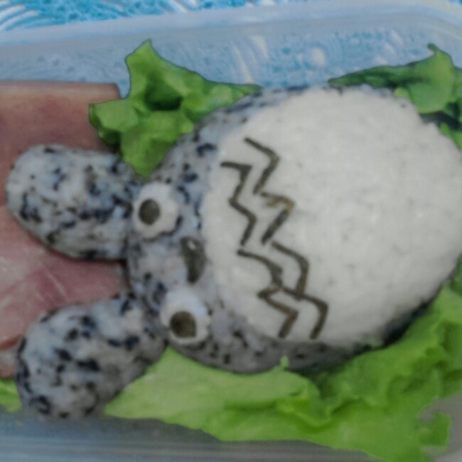 龙猫和煤球精灵饭团