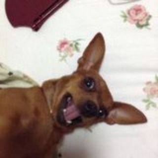stan的杂货铺