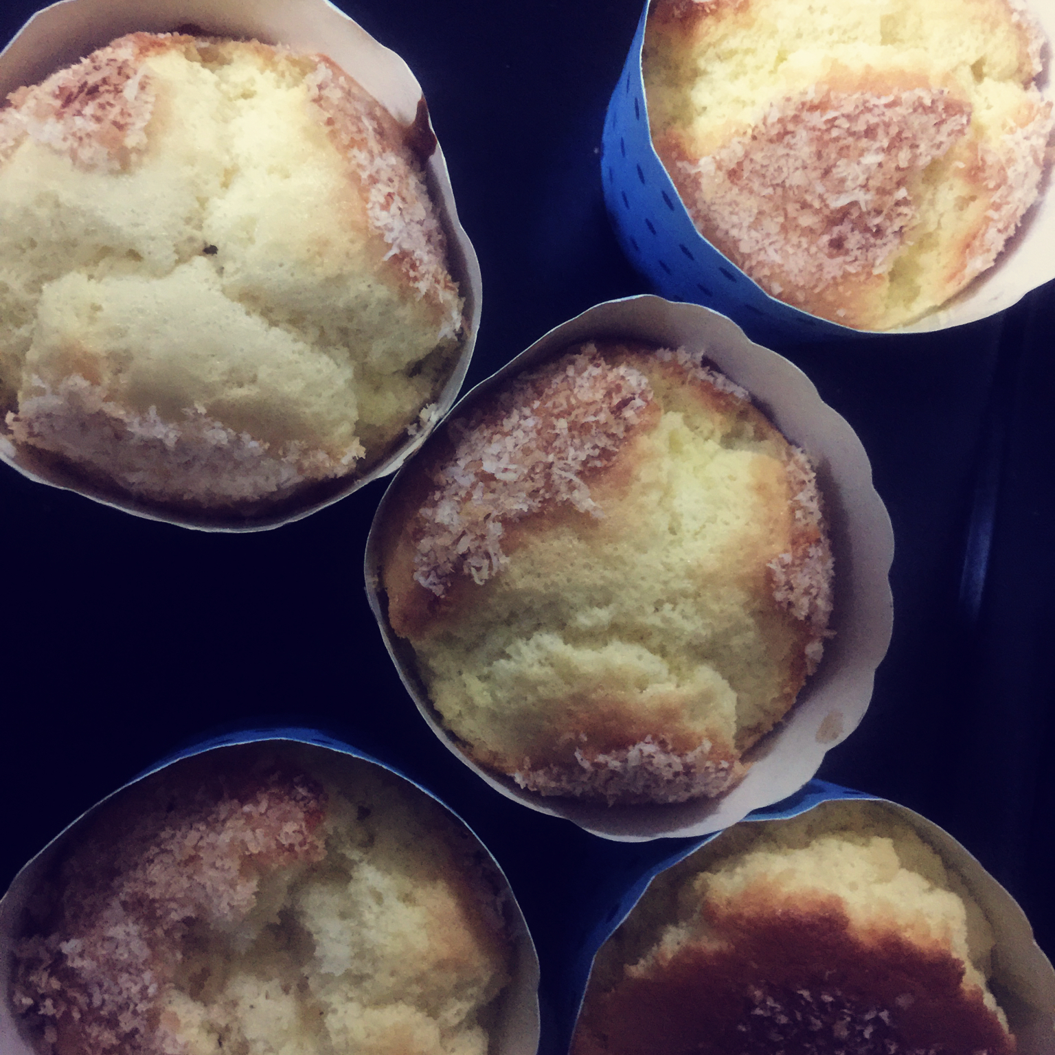 不会回缩的纸杯蛋糕--海氏烤箱定制