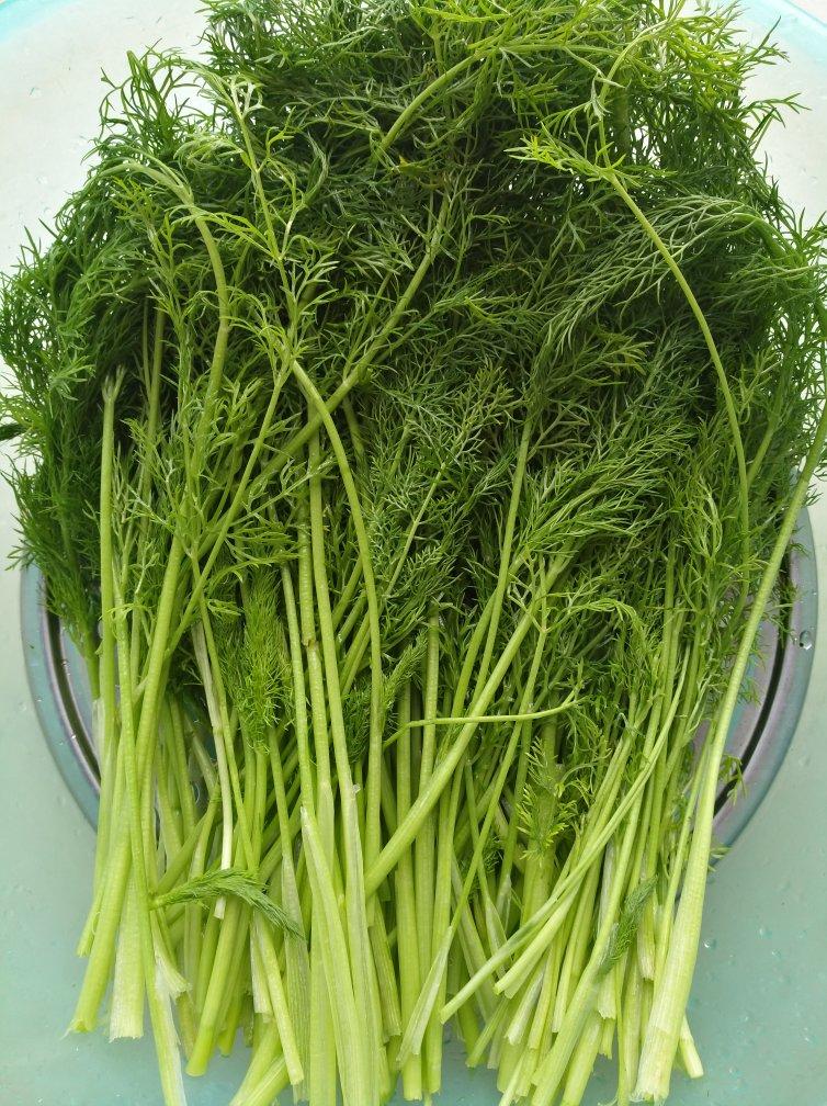 喜欢所有"臭"菜,香椿,荠菜,水芹菜,茼蒿,包括茴香,当然还有香菜