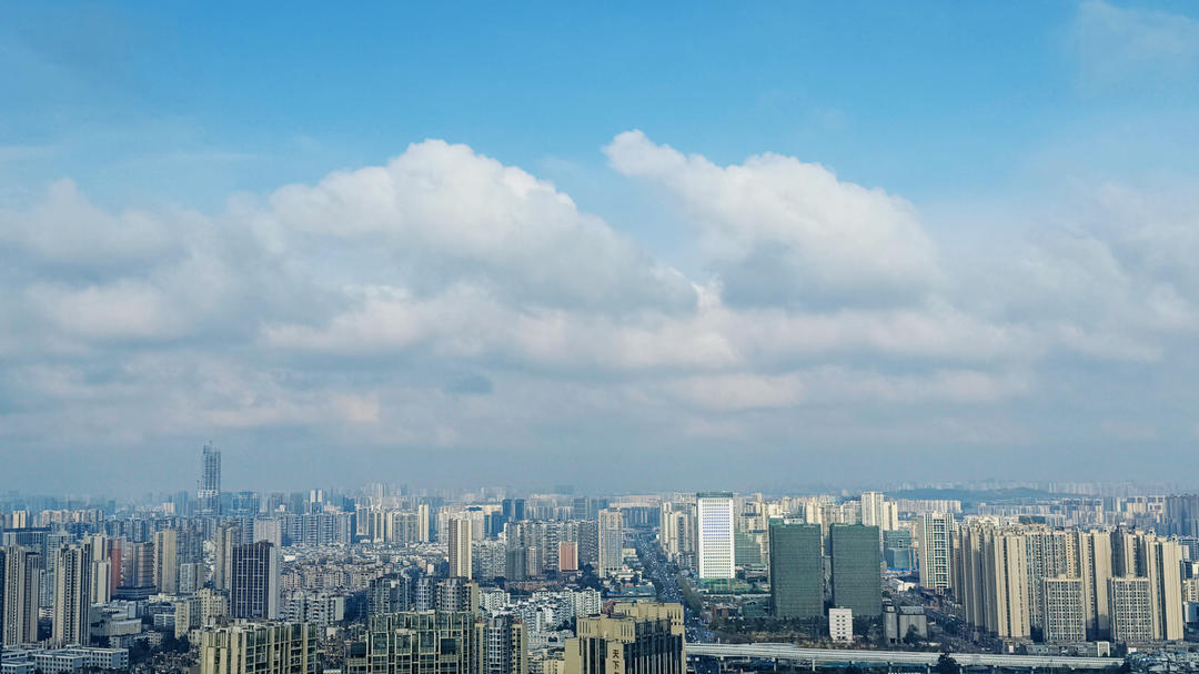 南山的妞
