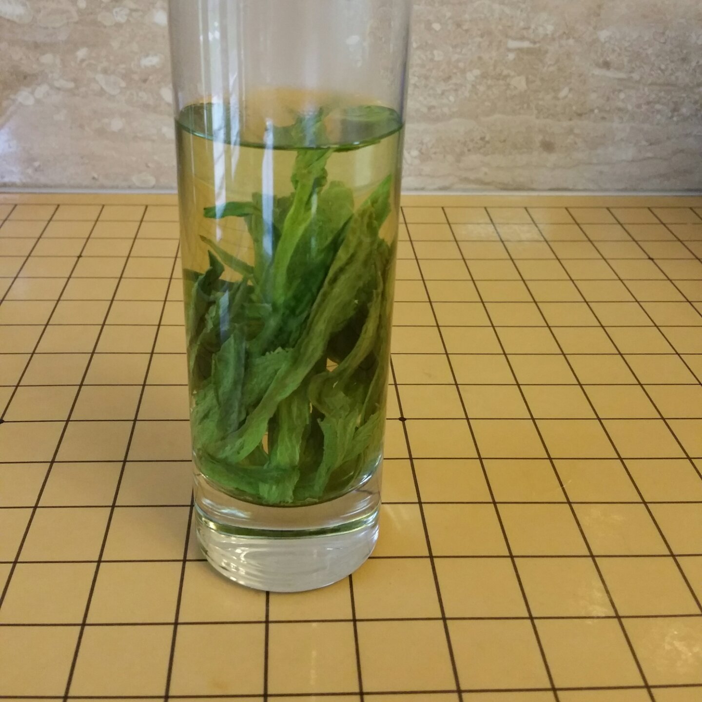 素人品茶：太平猴魁